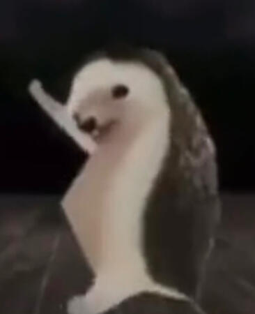 Hashbrown 2 Hashbrown 2