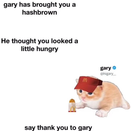 Gary - Hashbrown