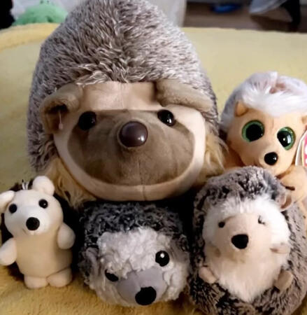 Log’s Family Log’s Family